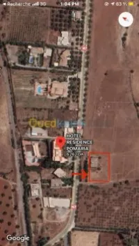 Vente bien immobilier Tlemcen Mansourah