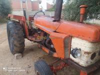 mila-amira-arras-algerie-tracteurs-rounault-master-2-1967