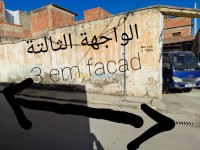 relizane-algeria-carcass-sell