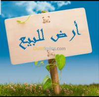 constantine-algeria-land-sell