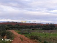 tipaza-cherchell-algeria-land-sell