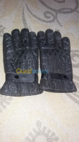 mostaganem-algerie-autre-les-gants