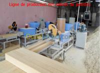بجاية-وادي-غير-الجزائر-صناعة-و-تصنيع-ligne-production-des-sabots-de-palette