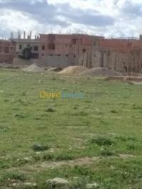 البليدة-لارباع-الجزائر-أرض-byaa-ard-alblyd-larbaaa