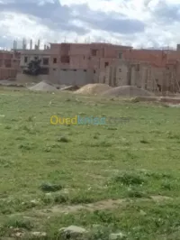 Vente Terrain Blida Larbaa