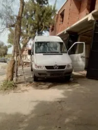 3 panau