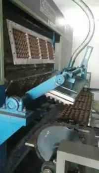 Ligne De Production De Plateaux A Oeuf