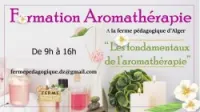 Formation Aromathérapie
