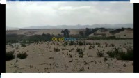 بومرداس-الجزائر-أرض-byaa-ard-bomrdas