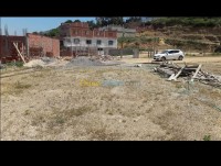 البليدة-بوعرفة-الجزائر-أرض-byaa-ard-alblyd-boaarf