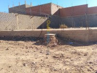 بشار-الجزائر-أرض-byaa-ard-bshar