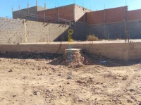Vente Terrain Bechar Bechar