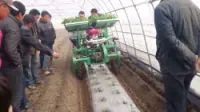 Planteuse De Legumes automatique