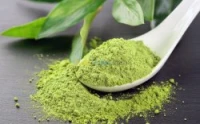 Thé Matcha BIO -Japon et courant Chine  شاي ماتشا عضوي مسحوق (يابان)                    