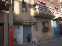 الجزائر-الكاليتوس-آخر-byaa-aakar-aljzaer-alkalytos