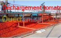 غذائي-و-تموين-ligne-fabrication-de-puree-tomate-وادي-غير-بجاية-الجزائر