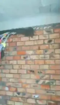 Machine Projection Mortier Automatique