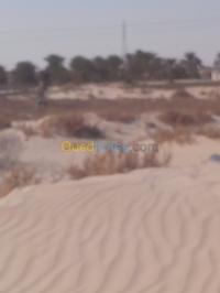 el-oued-kouinine-algeria-land-sell