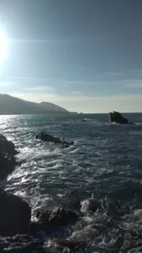 Vente Carcasse Tipaza Tipaza