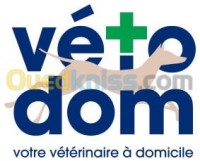 البليدة-الجزائر-بابا-حسن-طب-و-صحة-soin-d-animaux-à-domicile
