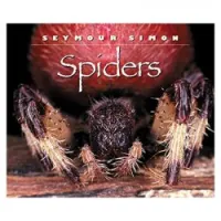 Spiders