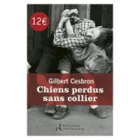 Chiens perdus sans collier