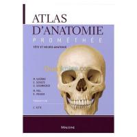 alger-draria-algerie-livres-magazines-atlas-d-anatomie-prométhée-tome-3-tête-et-neuro