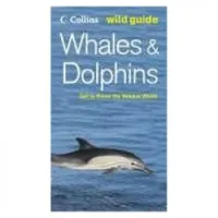 Whales and Dolphins