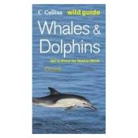 الجزائر-درارية-كتب-و-مجلات-whales-and-dolphins