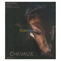 Chevaux