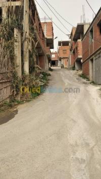 الجزائر-المعالمة-هيكل-byaa-hykl-aljzaer-almaaalm