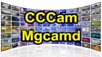 relizane-kalaa-algerie-abonnements-serveurs-بيع-سرفرات-cccam