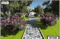 blida-larbaa-algerie-décoration-aménagement-extérieur-2d-et-3d