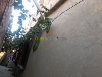عين-الدفلى-خميس-مليانة-الجزائر-فيلا-byaa-fyla-aayn-aldfl-khmys-mlyan