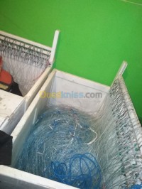 بومرداس-جنات-الجزائر-اصطياد-و-صيد-الأسماك-صندوق-لصيد-التونة