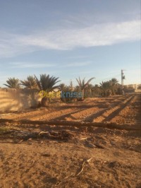 بسكرة-الجزائر-أرض-byaa-ard-bskr