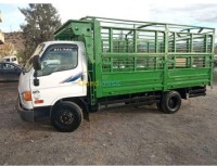 الجزائر-وسط-نقل-و-ترحيل-transport