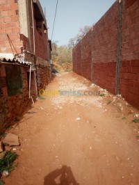 المدية-الجزائر-أرض-vente-terrain-medea