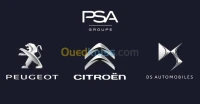 Peugeot Citroen DS
