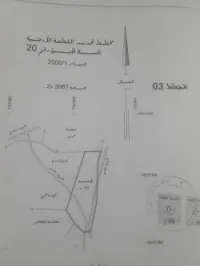 Vente Terrain Setif Dehamcha