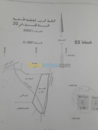 سطيف-دهامشة-الجزائر-أرض-byaa-ard-styf-dhamsh