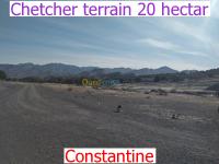 constantine-algeria-land-purchase-search