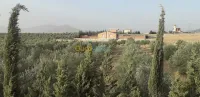 Vente Terrain Agricole Batna Ain yagout