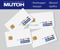 Puces cartouches