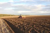 Vente Terrain Agricole Tlemcen Bensekrane