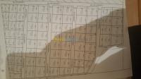 algiers-douera-algeria-land-sell