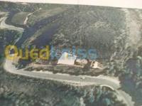 chlef-tenes-algeria-land-sell