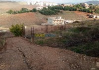 بومرداس-تيجلابين-الجزائر-أرض-byaa-ard-bomrdas-tyjlabyn