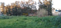 algiers-rouiba-algeria-land-sell