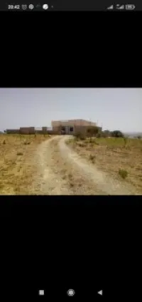 Vente Terrain Tlemcen Bab el assa